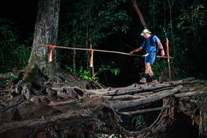 BIB: 
                            <button type="button" onclick="openModal(27441188)" class="btn btn-primary btn-sm float-right btn-popup" data-toggle="modal" data-target=".modal-high-quality">
                        <i class="fas fa-shopping-cart"></i> Add to Cart
                    </button>
                                            <button type="button" onclick="isThisMe(27441188, true)" class="btn btn-success btn-sm float-right btn-popup btn-isme hidden" data-toggle="tooltip" data-placement="bottom" title="นี่คือรูปของคุณใช่ไหม คลิกที่นี่เพื่อเอาเข้าอัลบั้ม">
                        <i class="fas fa-plus"></i> Add to album
                    </button>
                    <button type="button" onclick="isThisMe(27441188, false)" class="btn btn-warning btn-sm float-right btn-popup btn-isnotme hidden">
                        <i class="fas fa-ban"></i> Remove from album
                    </button>